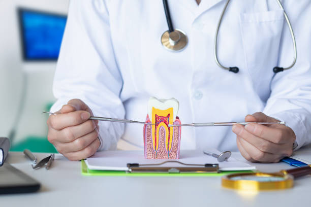 Best Emergency Root Canal Treatment in Lely Resort, FL